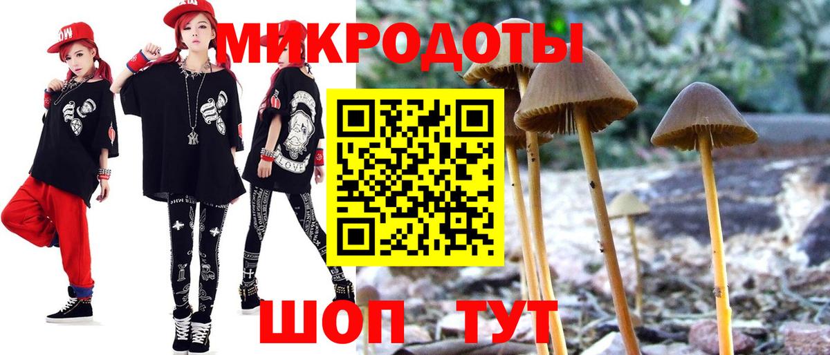 Псилоцибиновые грибы Cubensis Берёзовский
