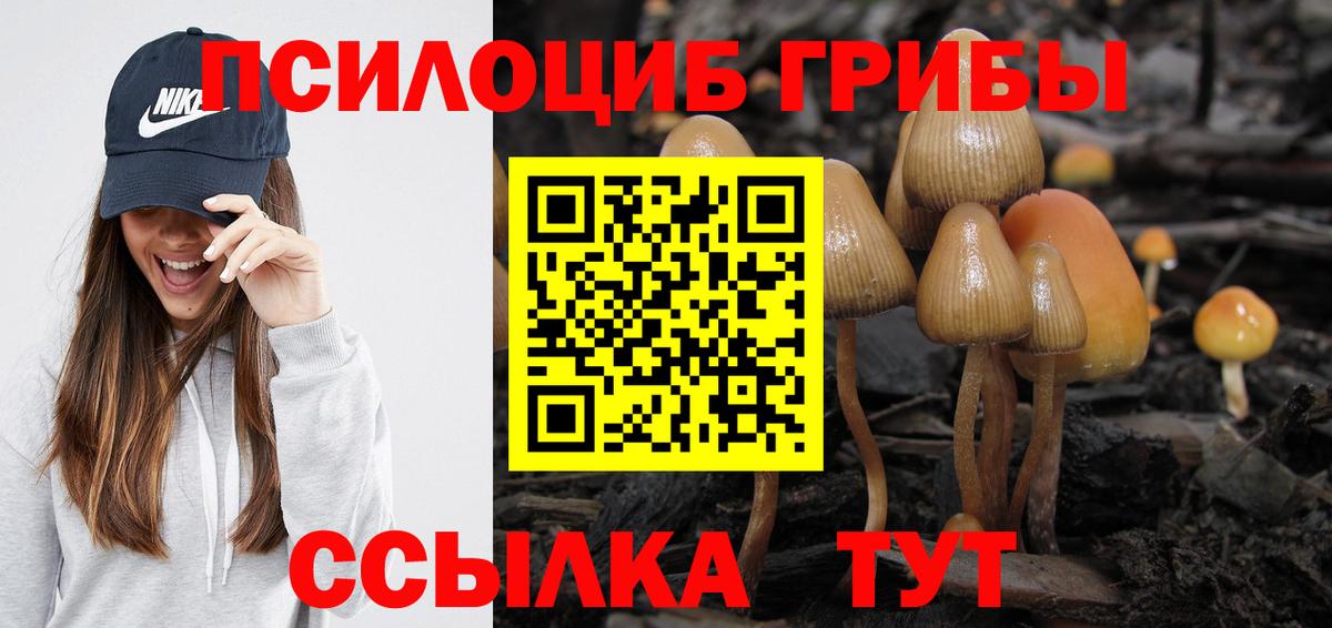 Псилоцибиновые грибы MAGIC MUSHROOMS  Вход с VPN  Берёзовский  Галлюциногенные грибы Psilocybe 