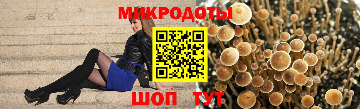 Галлюциногенные грибы MAGIC MUSHROOMS  Берёзовский  Галлюциногенные грибы Psilocybe 